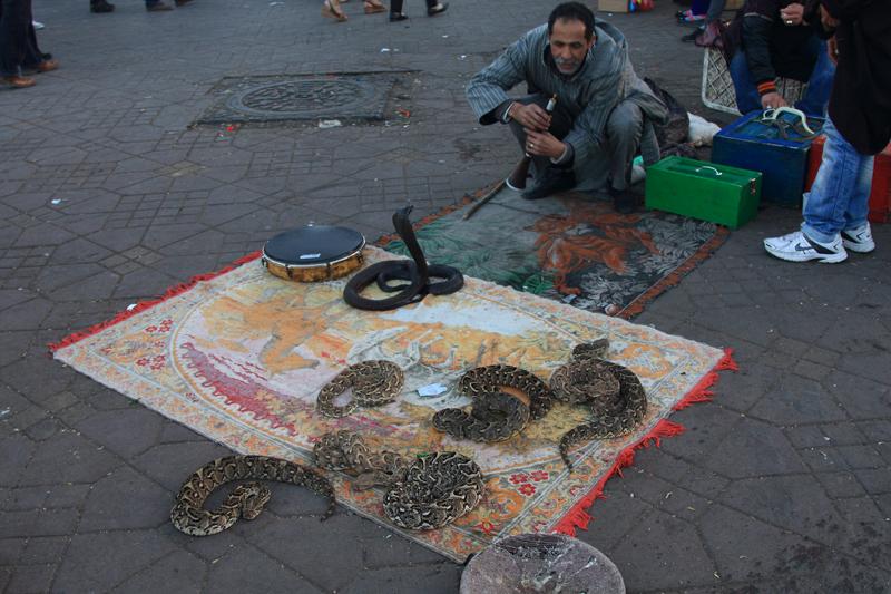 373-Marrakech,1 gennaio 2014.JPG